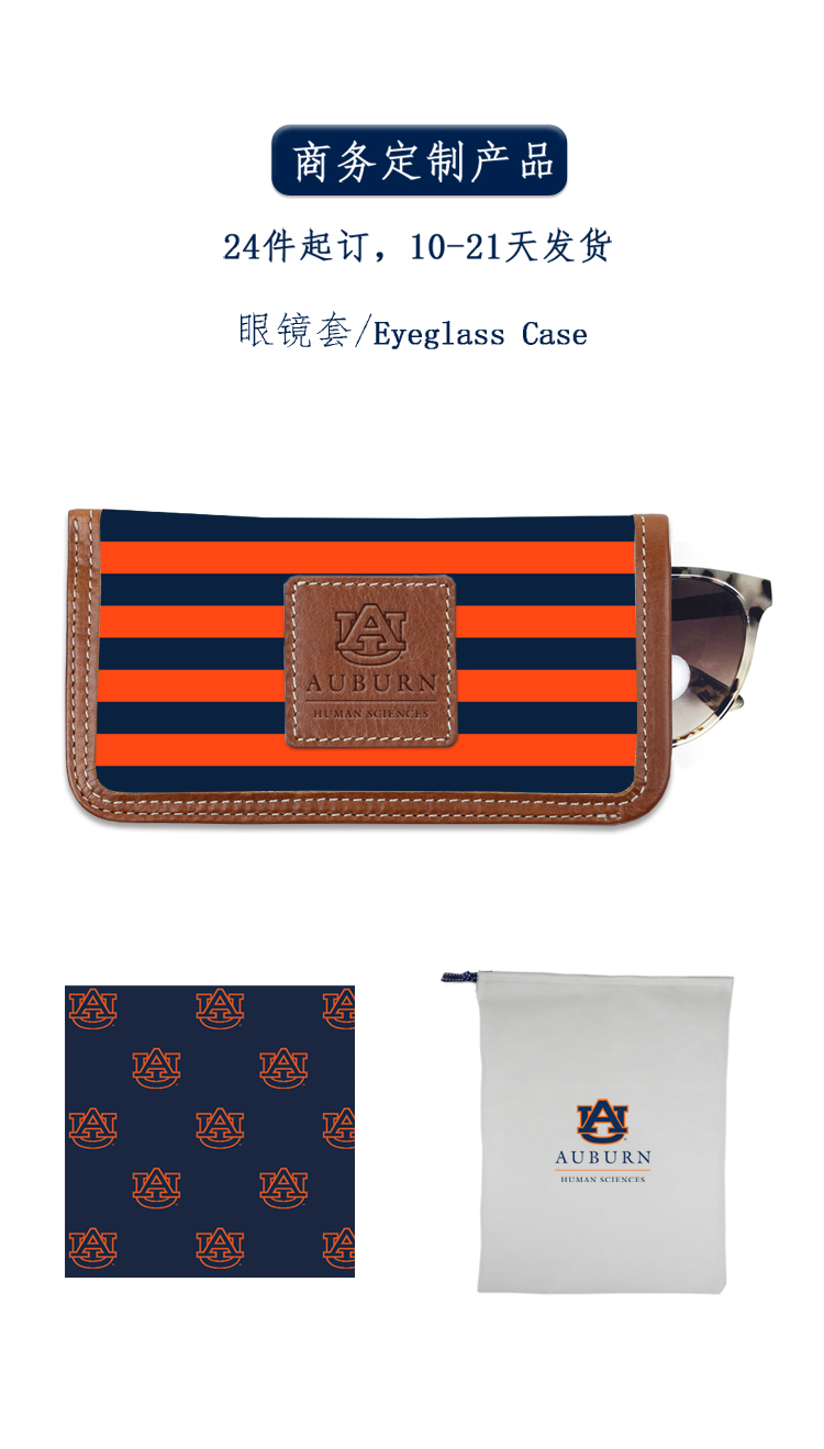 304GP120J Eyeglass Case.jpg
